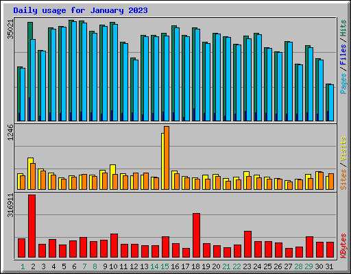 Daily usage for January 2023