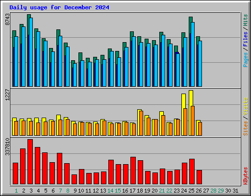 Daily usage for December 2024