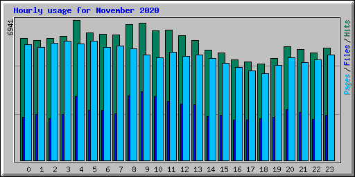 Hourly usage for November 2020