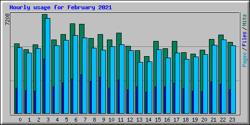 Hourly usage for February 2021