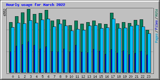 Hourly usage for March 2022