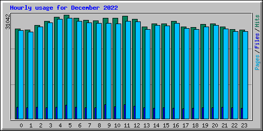 Hourly usage for December 2022