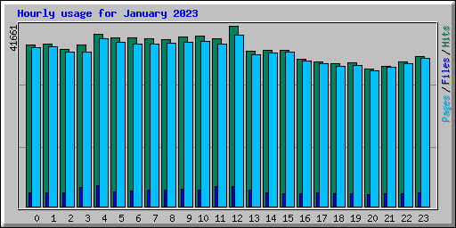 Hourly usage for January 2023