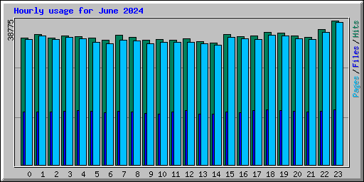 Hourly usage for June 2024