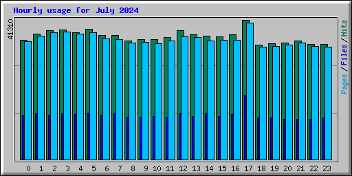 Hourly usage for July 2024