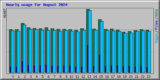 Hourly usage for August 2024