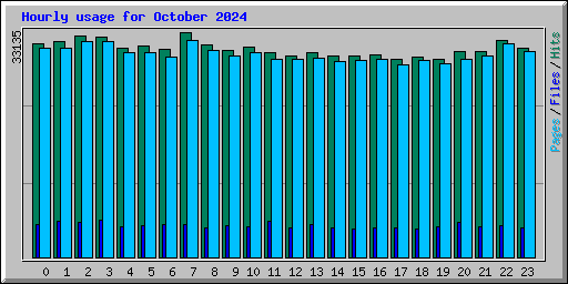 Hourly usage for October 2024