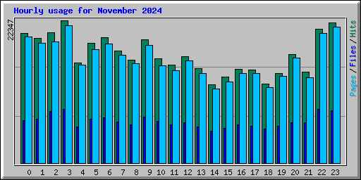 Hourly usage for November 2024