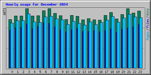 Hourly usage for December 2024