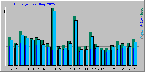 Hourly usage for May 2025