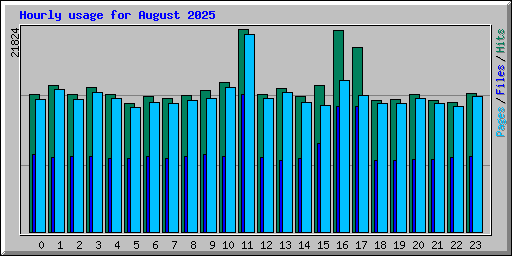 Hourly usage for August 2025