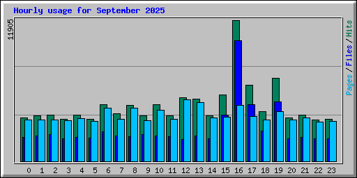 Hourly usage for September 2025
