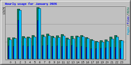 Hourly usage for January 2026