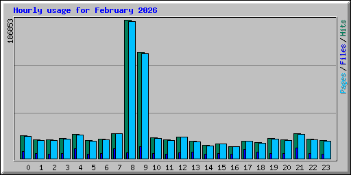 Hourly usage for February 2026