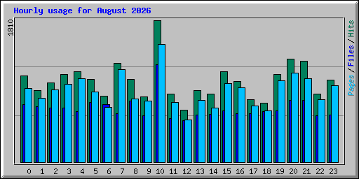 Hourly usage for August 2026